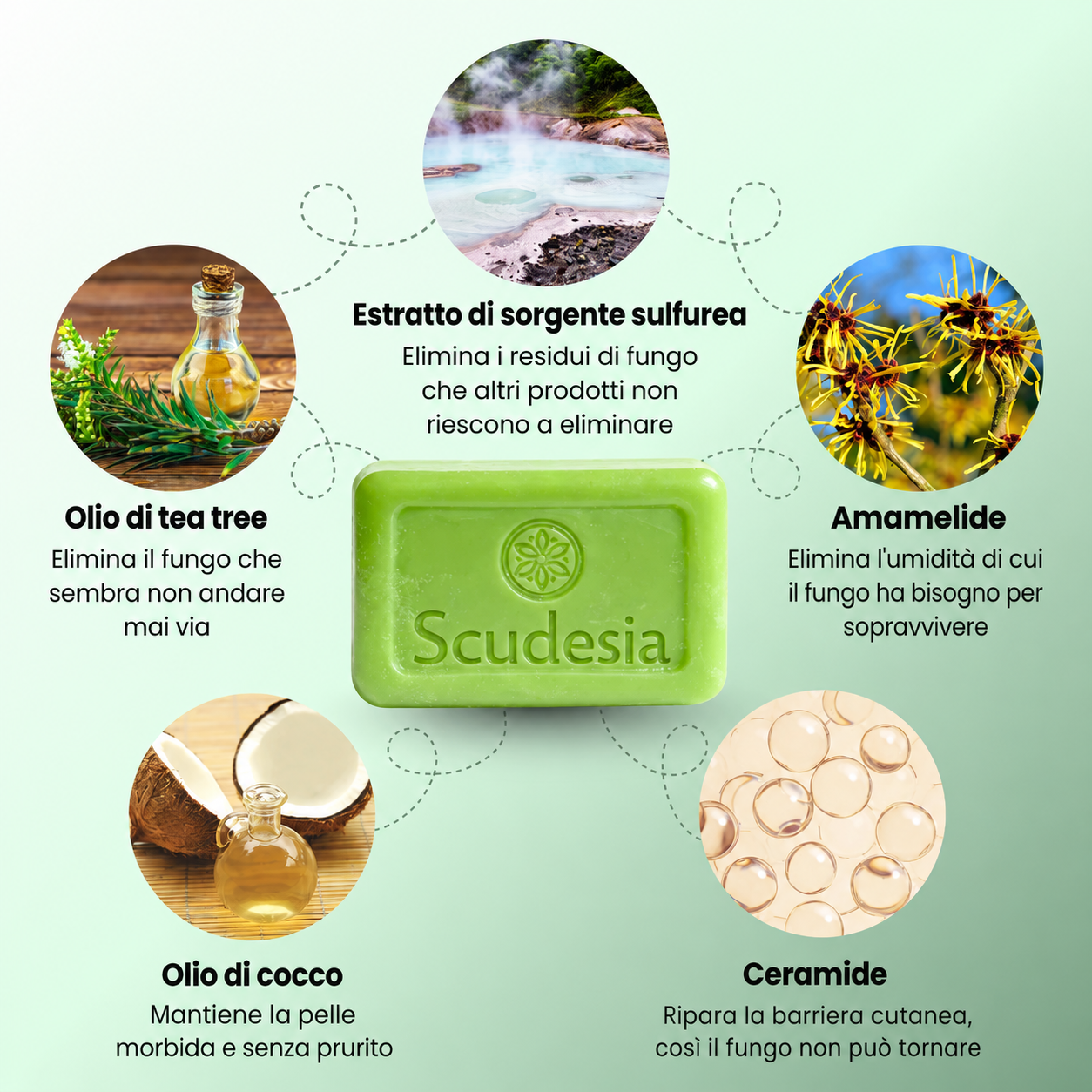 Sapone antimicotico Scudesia